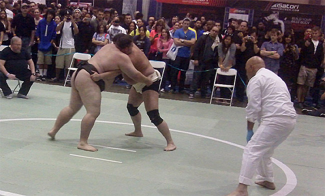 Los Angeles Fitness Expo 2013 - sumo