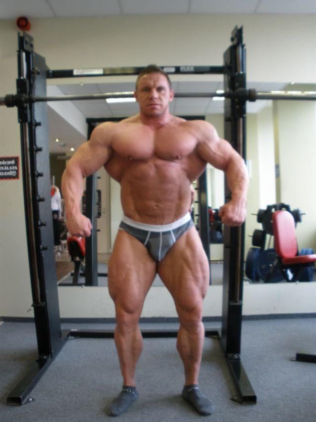 Daniel Toth