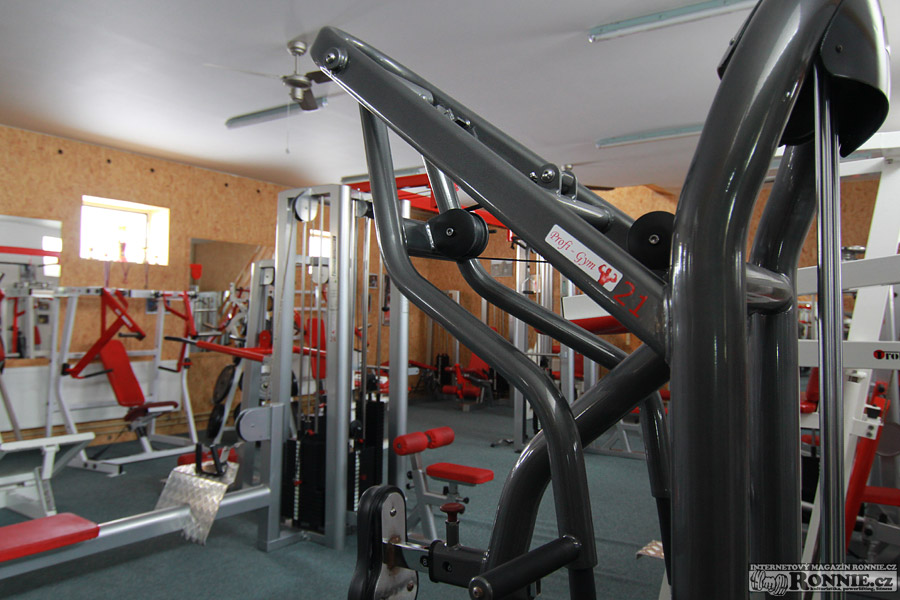 Profi Gym ve St�edokluk�ch