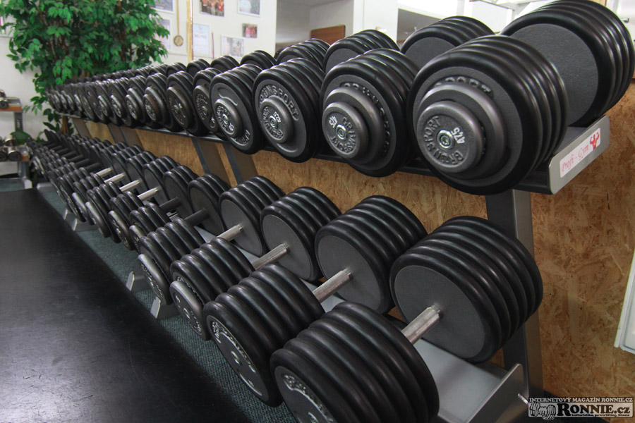 Profi Gym ve St�edokluk�ch