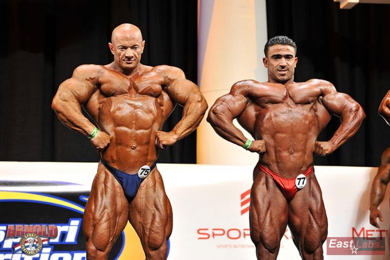 Oleksandr Slobodyanyuk, Kamal El Gargni