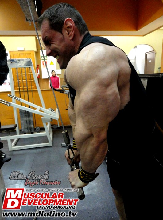 Paco Bautista