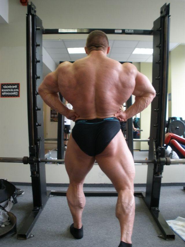 Daniel Toth