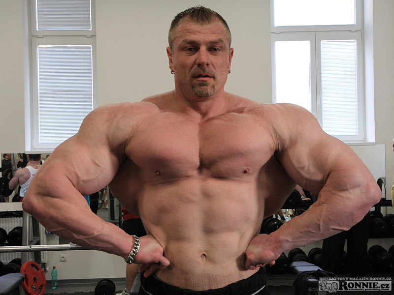 Dalibor H�jek