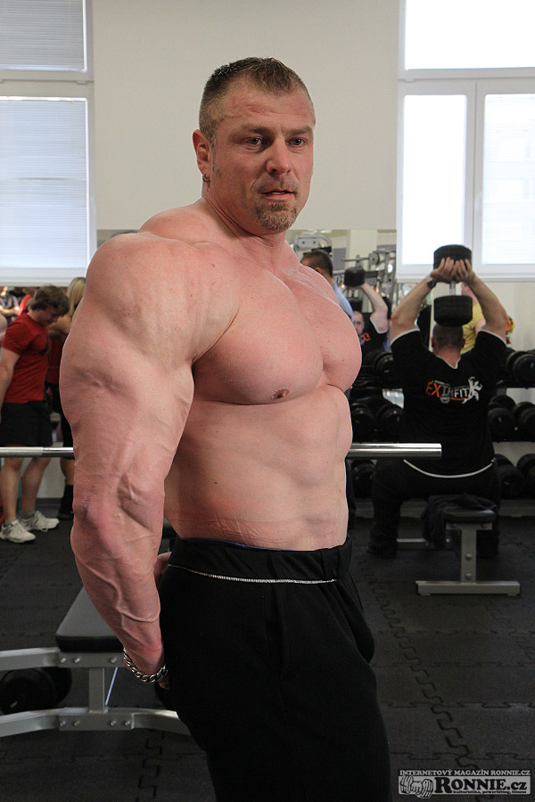 Dalibor H�jek
