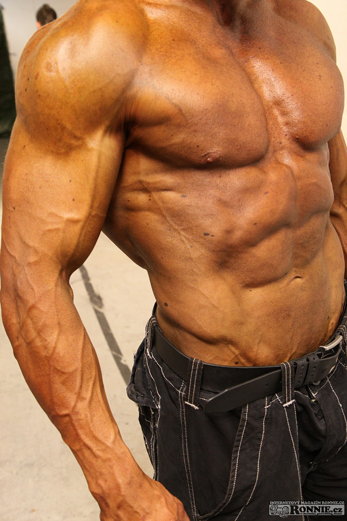 Michal Trykar