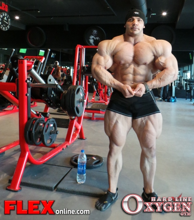 Mamdouh Elssbiay