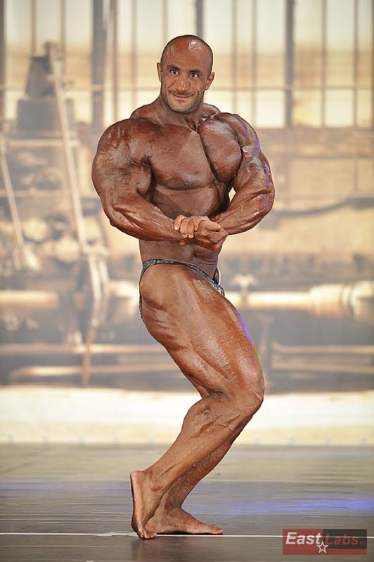 Mohamad Bannout