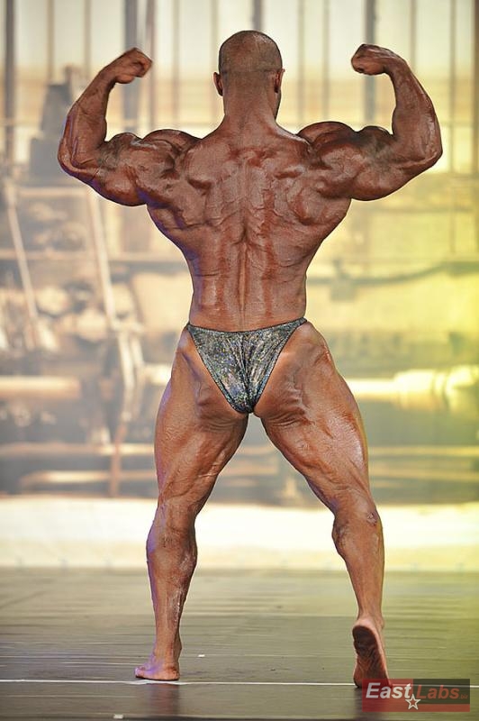 Mohamad Bannout