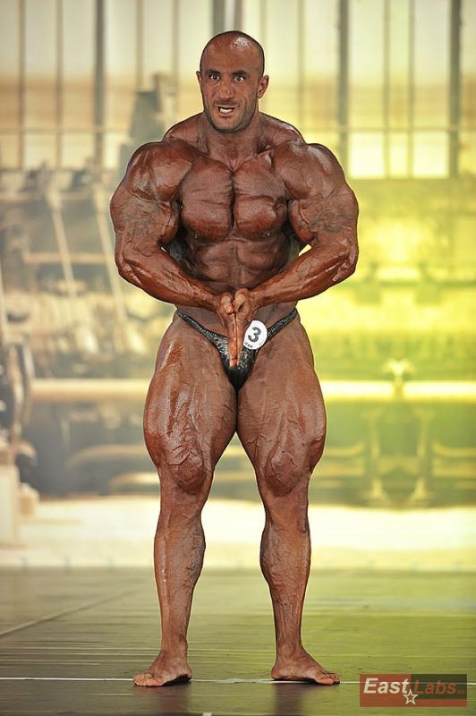 Mohamad Bannout