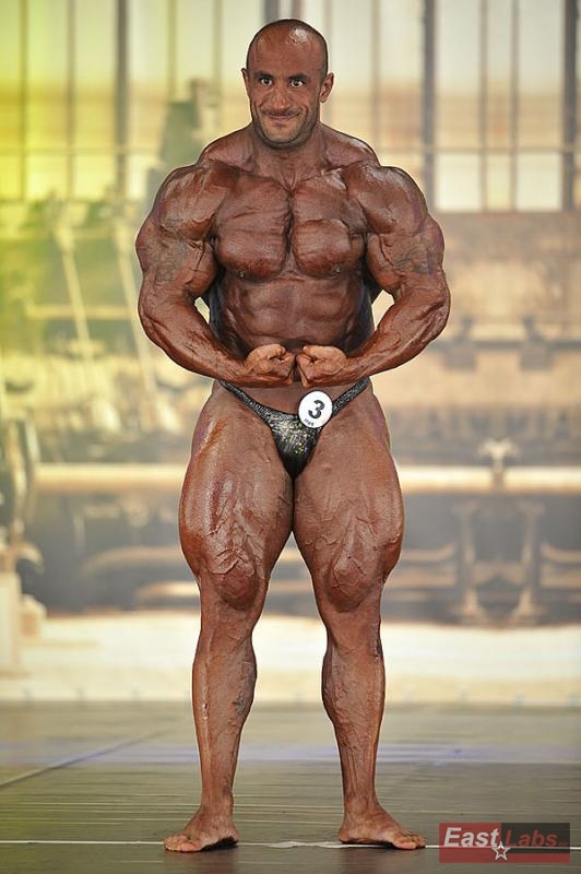 Mohamad Bannout