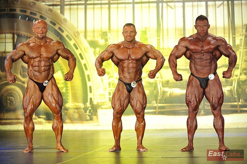 Robert Piotrkowicz, Ronny Rockel, Daniel Toth