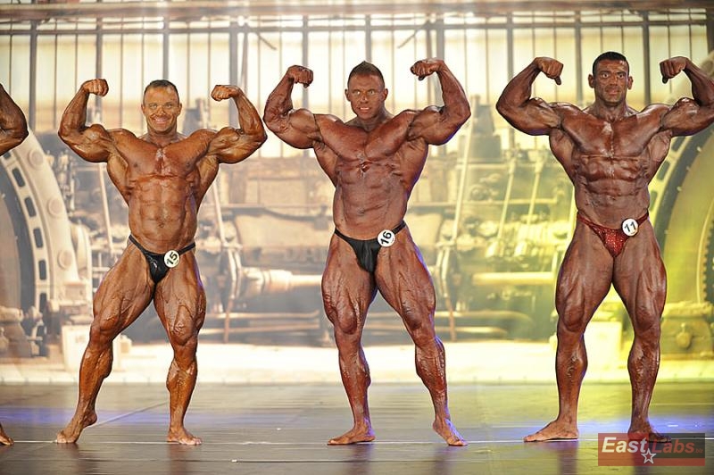 Ronny Rockel, Daniel Toth, Zaher Moukahal