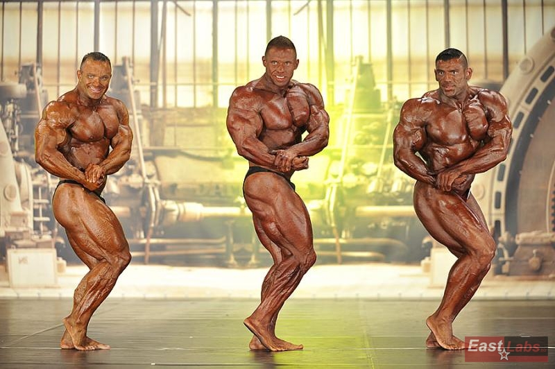 Ronny Rockel, Daniel Toth, Zaher Moukahal