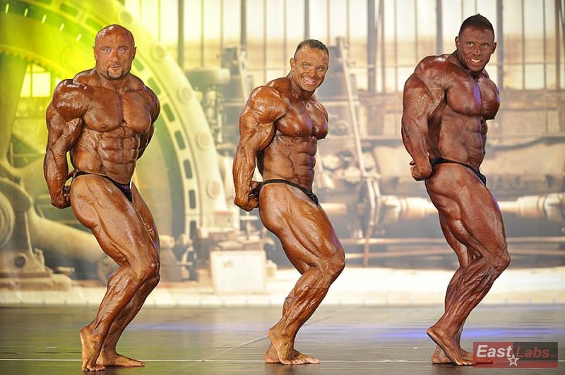 Robert Piotrkowicz, Ronny Rockel, Daniel Toth