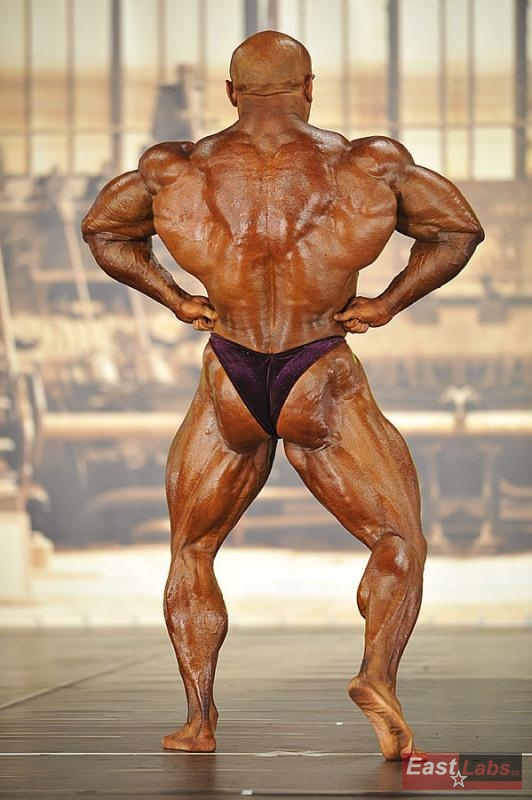 Robert Piotrkowicz