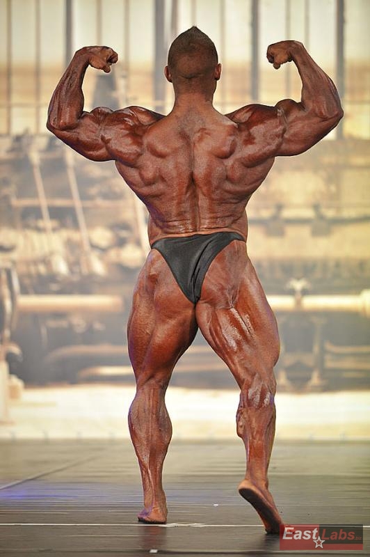 Daniel Toth