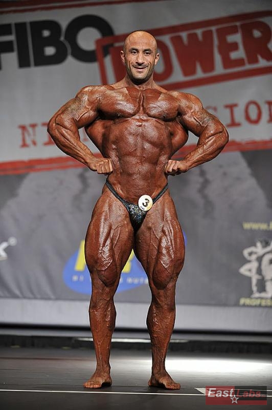 Mohamad Bannout