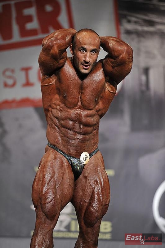 Mohamad Bannout