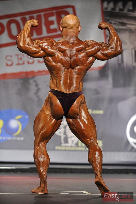 Robert Piotrkowicz