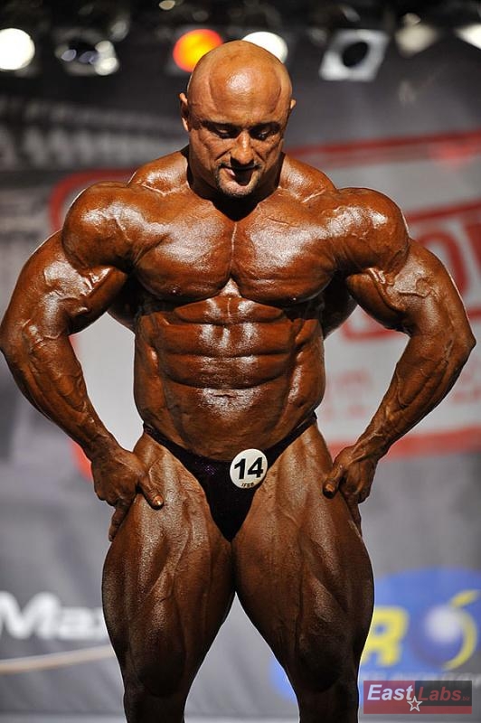 Robert Piotrkowicz