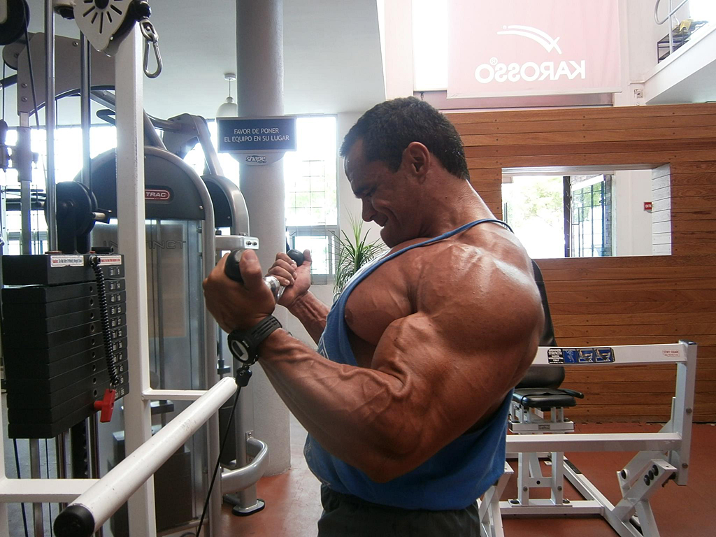 Manuel Lomeli