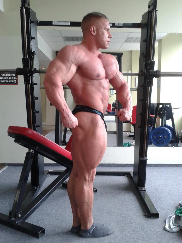 Daniel Toth
