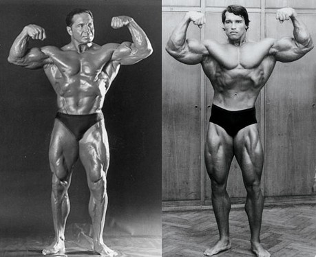 Hypotetick� porovn�n� Pearl vs. Schwarzeneger