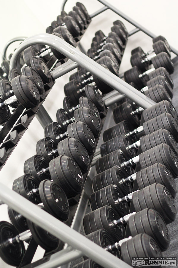Posilovna Fine Fitness Slavoje Bedn��e