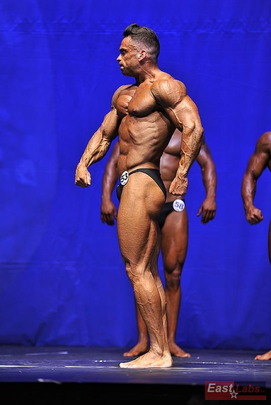 Nicolas Alcoverro