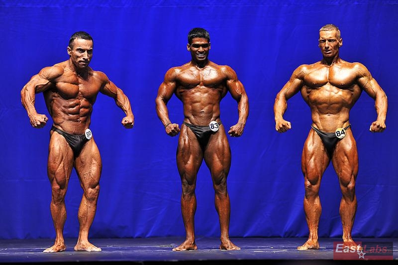 Yalchin Mammadov, Ashly Sajithkumar, Miroslav �kadra