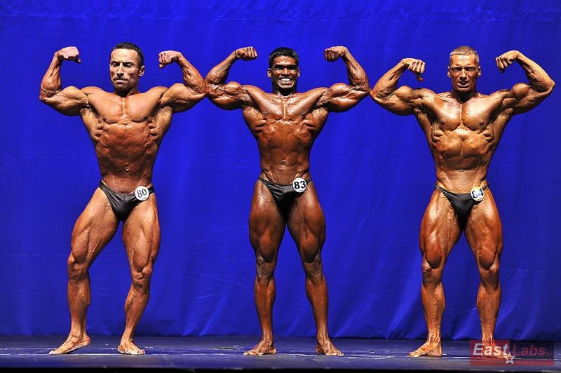 Yalchin Mammadov, Ashly Sajithkumar, Miroslav �kadra