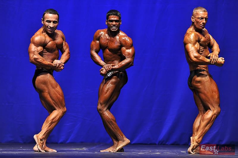 Yalchin Mammadov, Ashly Sajithkumar, Miroslav �kadra