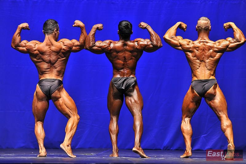 Yalchin Mammadov, Ashly Sajithkumar, Miroslav �kadra
