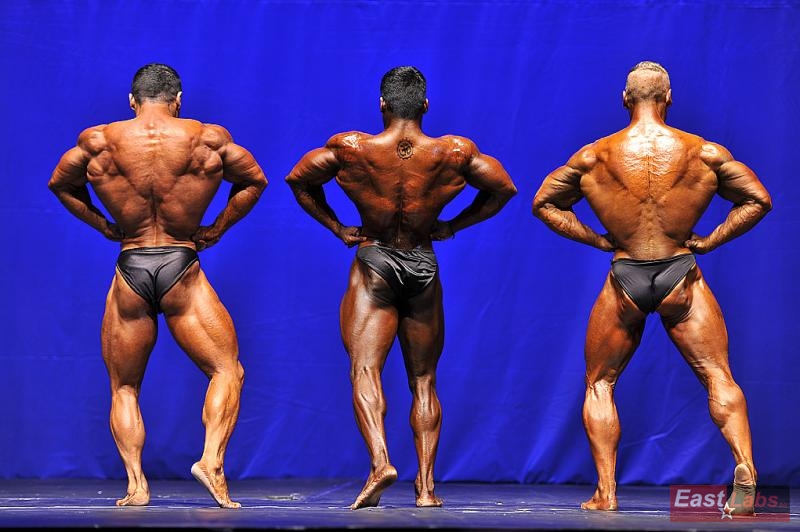 Yalchin Mammadov, Ashly Sajithkumar, Miroslav �kadra