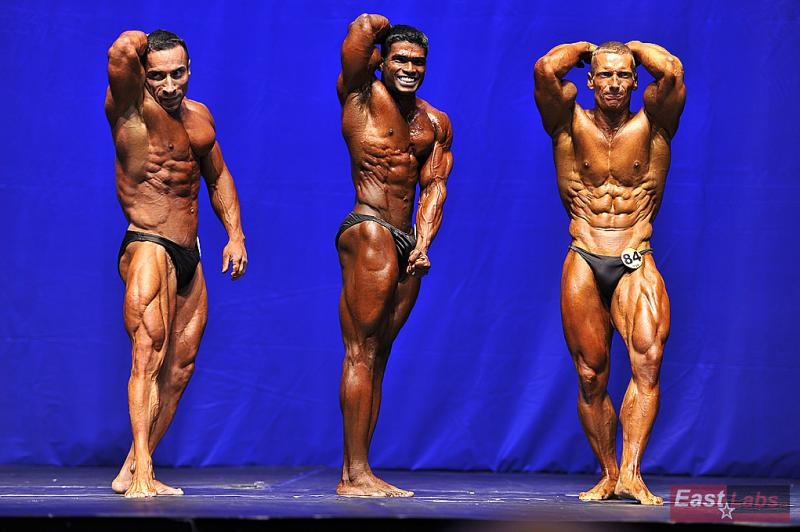 Yalchin Mammadov, Ashly Sajithkumar, Miroslav �kadra