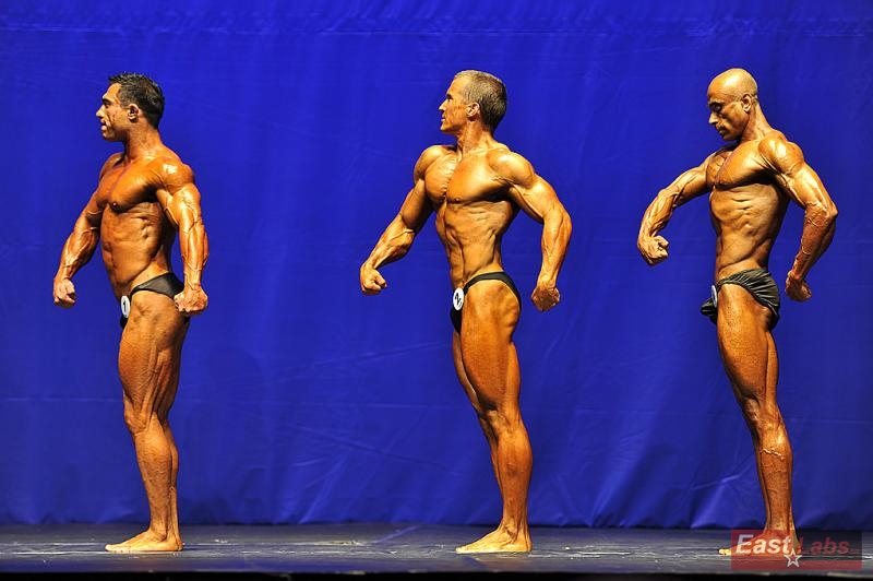 Teymur Aslanov, Tom� Luk��, Abdulgani Erbezirgan