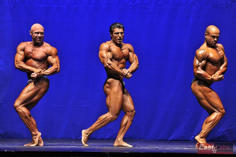 Fredrik Spång, Mahmut Irmak, Georgi Yordanov