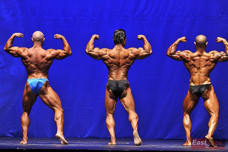 Fredrik Spång, Mahmut Irmak, Georgi Yordanov