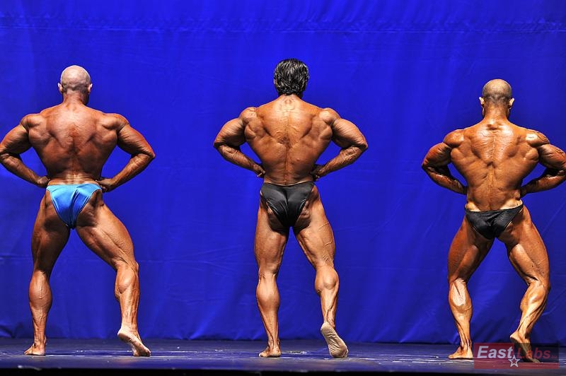 Fredrik Spång, Mahmut Irmak, Georgi Yordanov