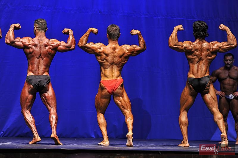 Selim Tarak�i, Miroslav Han�k, Mohamed-Ali Aziz