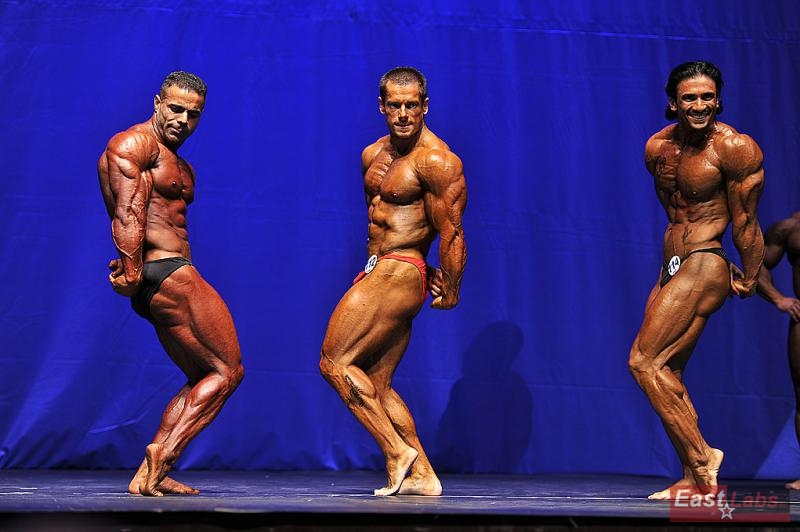 Selim Tarak�i, Miroslav Han�k, Mohamed-Ali Aziz
