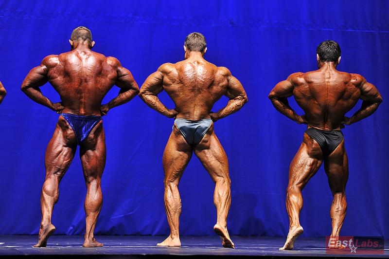 G�rkem G�rsoy, Sergei Marutik, Andriy Kukharchuk