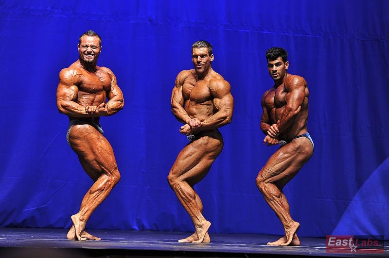 Relu Giani Gauca, Arne Lundell, Melih Emre Yildiz