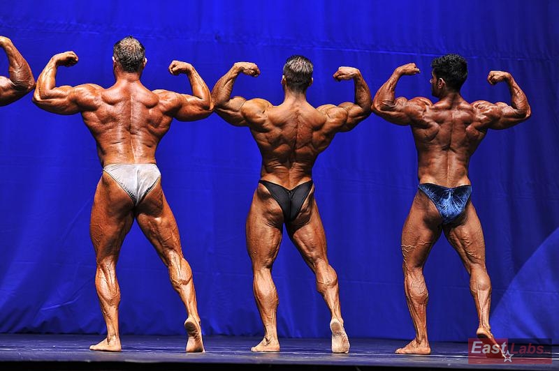 Relu Giani Gauca, Arne Lundell, Melih Emre Yildiz