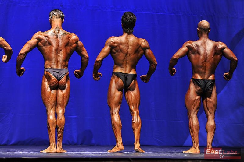 Antonio Ludovico, Andrei Maliutin, Patrik �tiglic