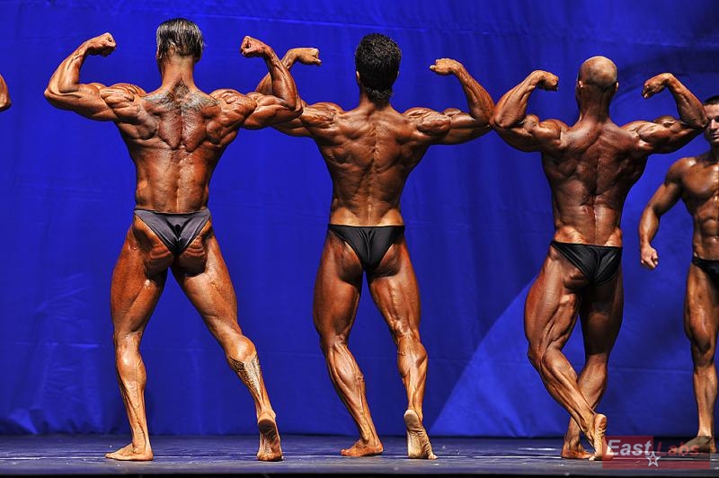 Antonio Ludovico, Andrei Maliutin, Patrik �tiglic