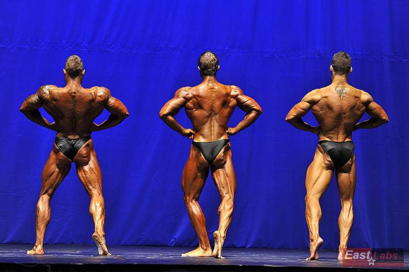 Dmitrii Krylov, Peter Bella, Johan Saxerud
