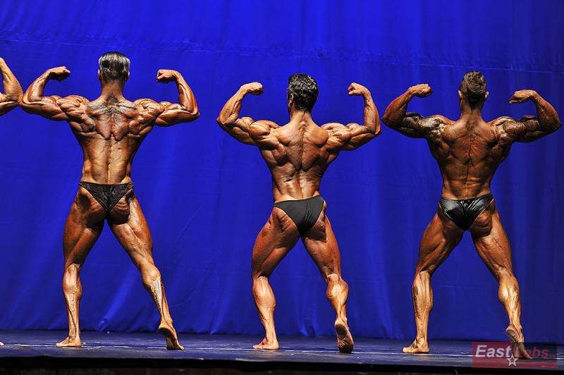Antonio Ludovico, Ali Emre, Dmitrii Krylov