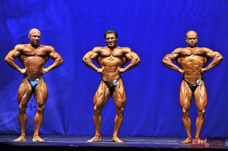 Fredrik Spång, Mahmut Irmak, Georgi Yordanov